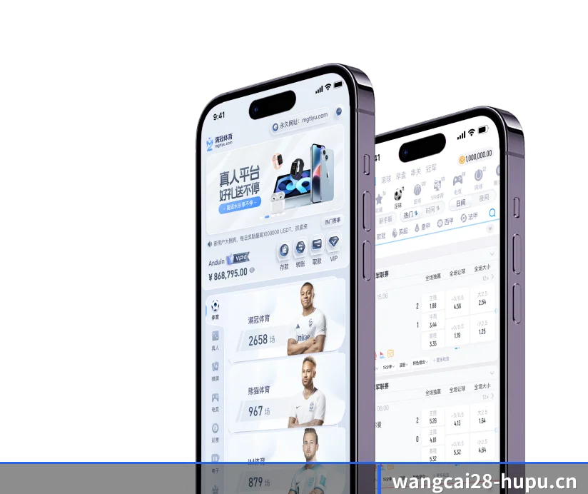 国际化进程（wangcai28）